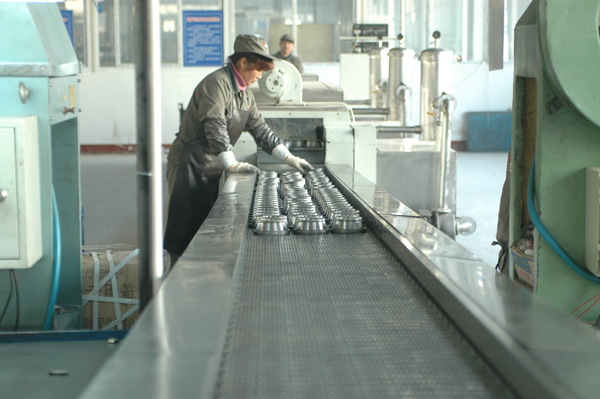 鷹牌(pái)軸承-全自動清洗(xi)機