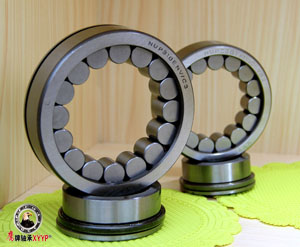 圓(yuán)柱滾子(zi)軸承
